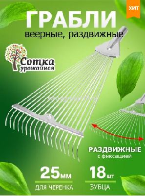 Снимок